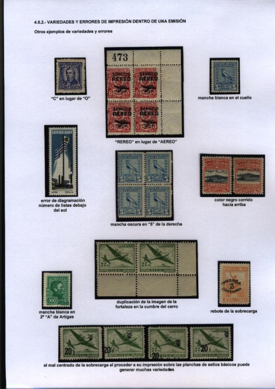 photo19.jpg